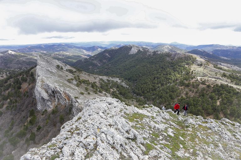 Estreno de la 1ª Travesía de la Almenara y Los Gallineros organizada por la Diputación de Albacete