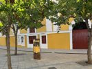 Por segundo año consecutivo la Feria de Hellín se queda sin corrida de toros