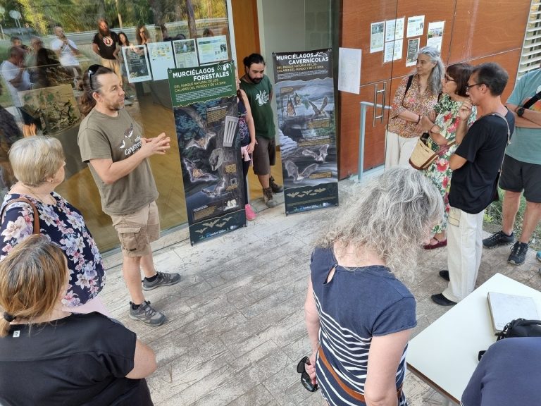 Un año dedicado a la conservación de murciélagos forestales en Albacete