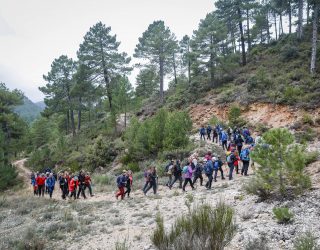 La belleza de la Sierra de la Veracruz cautiva en la exitosa ruta senderista de Paterna del Madera