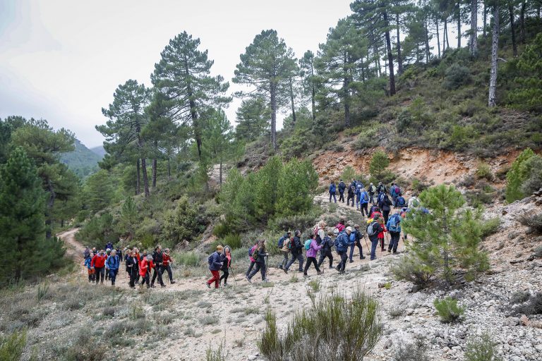 La belleza de la Sierra de la Veracruz cautiva en la exitosa ruta senderista de Paterna del Madera