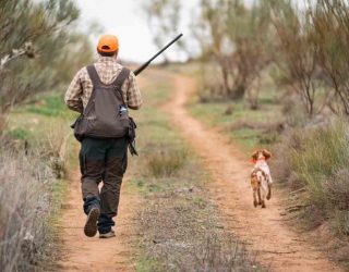 El inicio de la temporada de caza en Hellín se centrará en la gestión de especies problemáticas