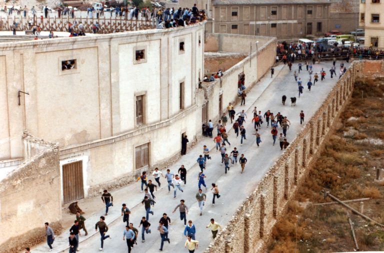 Vuelven los encierros de San Rafael entre la celebración festiva y la controversia