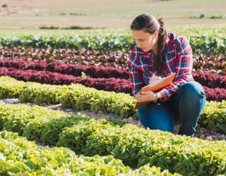 Hellín acogerá las Primeras Jornadas para la promoción de la mujer rural
