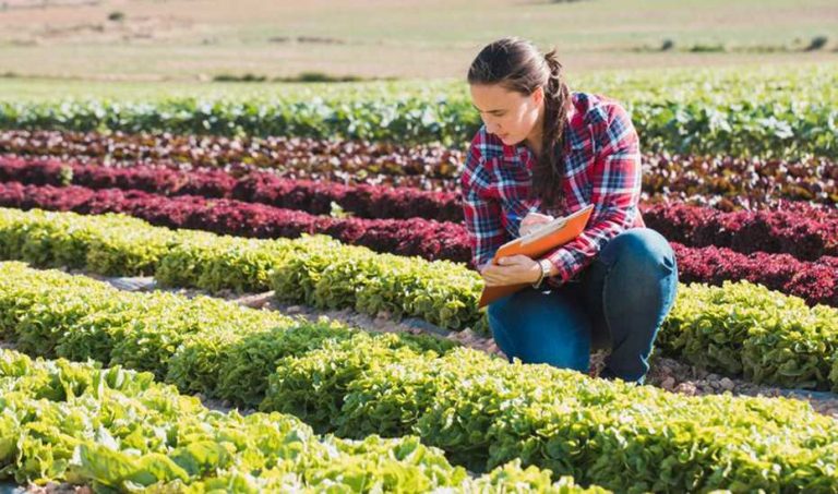 Hellín acogerá las Primeras Jornadas para la promoción de la mujer rural