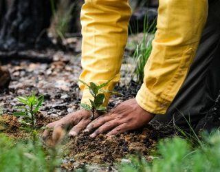 Oferta de empleo y formación con contrato de 1.100 € mensuales para 13 personas desempleadas