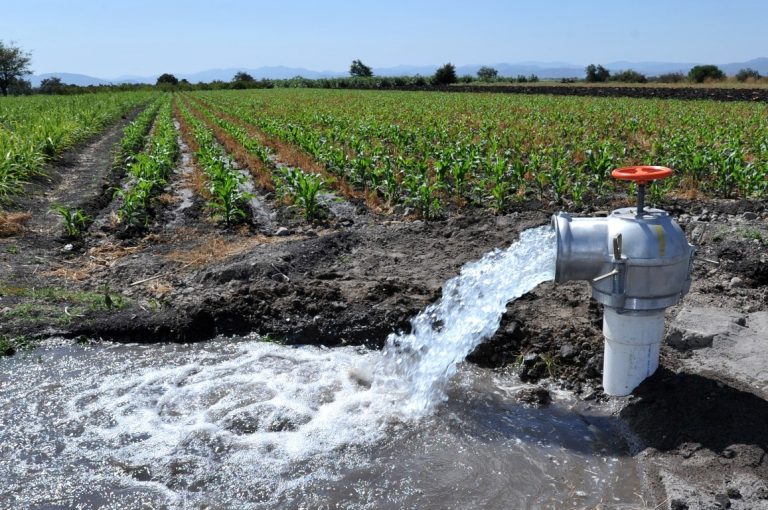 Aclaración sobre las restricciones de agua en la Cuenca del Segura