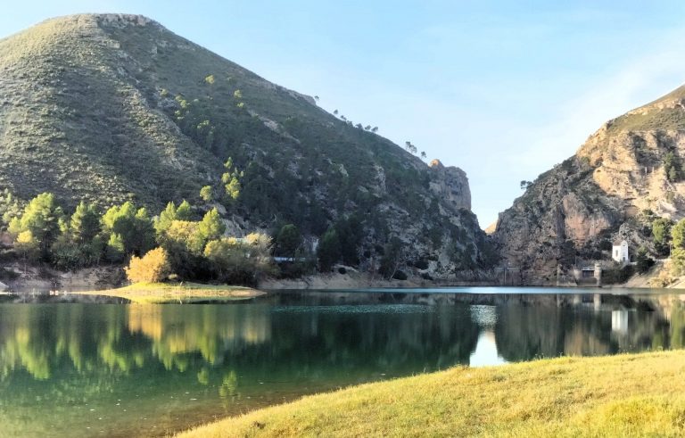 La CHS llevará a cabo el mantenimiento  forestal de los pantanos de Camarillas, Cenajo y Fuensanta