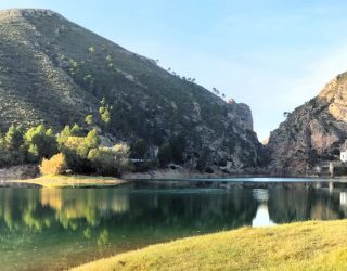 La CHS llevará a cabo el mantenimiento  forestal de los pantanos de Camarillas, Cenajo y Fuensanta