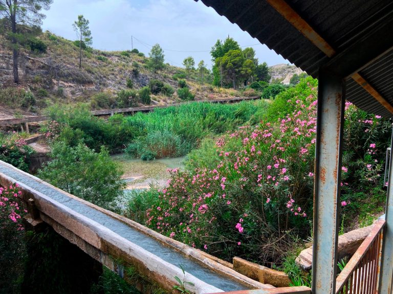 El Cañón de los Almadenes un gigante dormido en Hellín