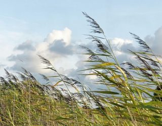 La provincia de Albacete bajo alerta naranja por fuertes rachas de viento