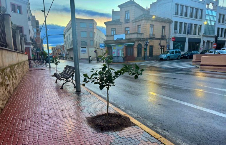 Hellín planta casi 400 nuevos árboles y reforesta un antiguo vertedero