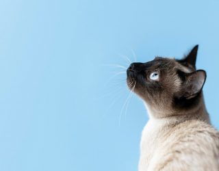 El sufrimiento a nuestro alrededor que los responsables politicos permiten y los periodistas ignoran