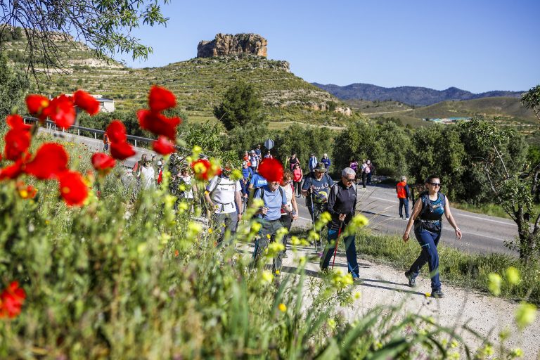 Elche de la Sierra se viste de primavera con la Ruta de los Repetidores
