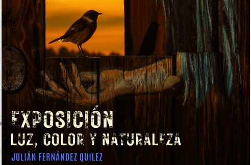La exposición “Luz, color y naturaleza” de Julián Fernández Quílez llega a Isso del 9 al 24 de mayo
