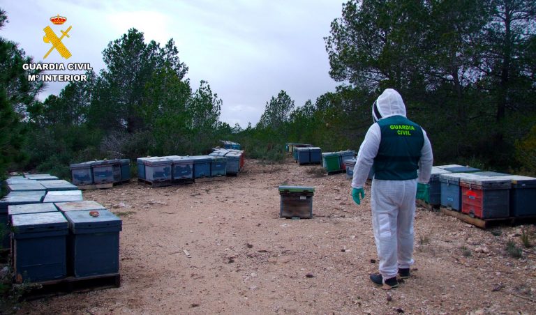 Pillado con 15 colmenas robadas y a punto de cosecha en plena sierra de Albacete