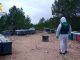 Pillado con 15 colmenas robadas y a punto de cosecha en plena sierra de Albacete