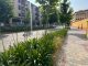 Las malas hierbas invaden la Avenida Poeta Mariano Tomás en Hellín