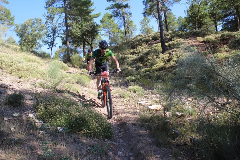 Bienservida acoge la última prueba del Circuito de Diputación de BTT antes del parón veraniego