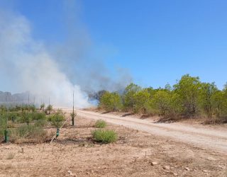 Extinguido el incendio forestal en Cancarix tras la rápida intervención del Plan Infocam