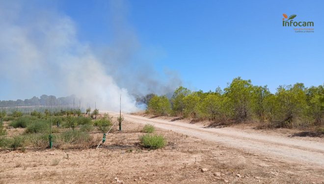 Extinguido el incendio forestal en Cancarix tras la rápida intervención del Plan Infocam