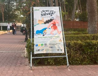 Fin de semana movido en Hellín con robos, actos vandálicos y peleas nocturnas