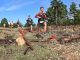 Doble cita deportiva del Circuito de Diputación con atletismo y trail en Abengibre y Vianos