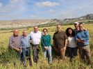 La siega del arroz en Las Minas consolida a Hellín como referente nacional de calidad