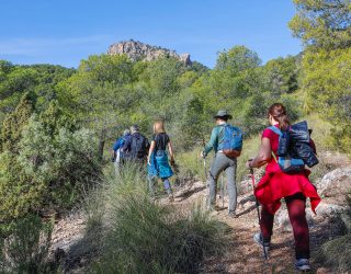 Socovos acoge este domingo la ruta “Fuente del Angosto” del programa de senderismo de la Diputación
