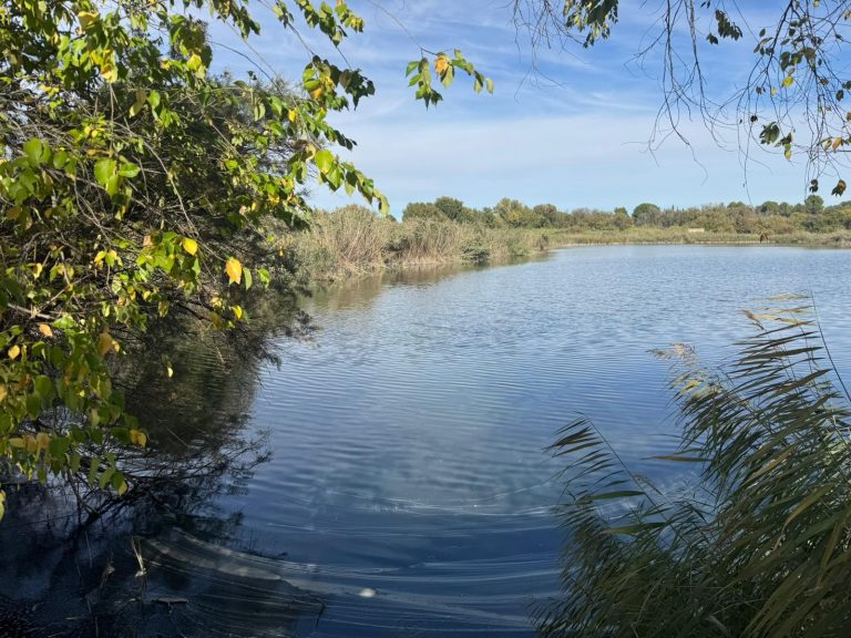 La Laguna de los Patos, un paraje olvidado que podría volver a ser un espacio de encuentro para Hellín