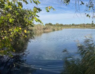 La Laguna de los Patos, un paraje olvidado que podría volver a ser un espacio de encuentro para Hellín