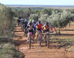 El Bonillo, penúltima parada del Circuito Provincial de BTT con presencia hellinera