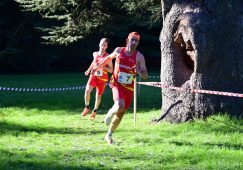 José Martínez Morote, campeón del mundo por equipos en Italia José Martínez Morote, campeón del mundo por equipos en Italia