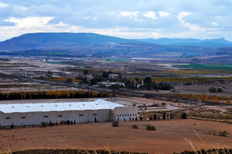 Vecinos de Torre Uchea rechazan el proyecto de una macrogranja de vacuno en Hellín