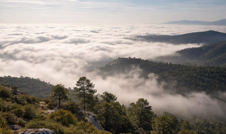 No te aburras en febrero: Hellín se llena de planes con sabor, vino y montaña