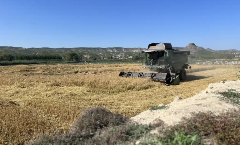 El Gobierno regional lanza una ayuda de 400€ por hectárea para proteger el arroz de Hellín