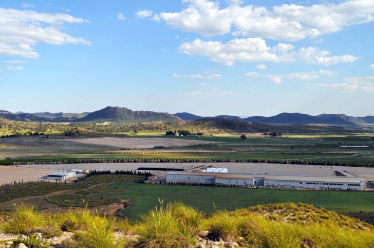 Macrogranja Nutripelet – Proyecto de interés particular